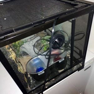 Huge reptile tank with day and night lamps, food bowl, reptile log/tree, heatpad